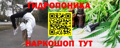 шишки Краснодар