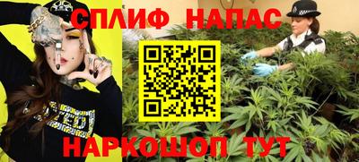 шишки Краснодар